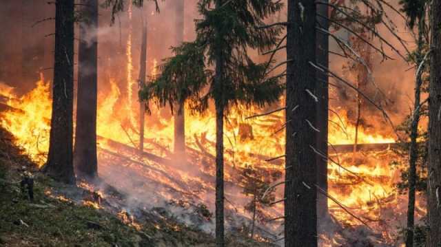 اشتعال 600 ألف هكتار.. حالة طوارئ في روسيا بسبب حرائق الغابات