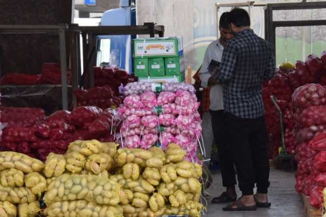 إطلاق حملة 'موسم حصادها' بالشرقية لتعزيز الاكتفاء الذاتي من الفاكهة المحلية