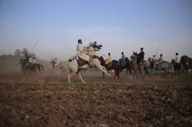 'المرماح'.. كرنفال شعبي للفرسان في جنوب مصر