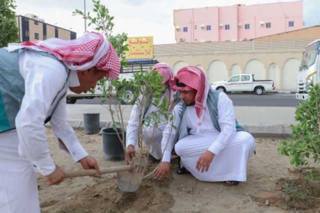 مبادرة مجتمعية لزراعة الشتلات بالشوارع والميادين العامة في الطائف