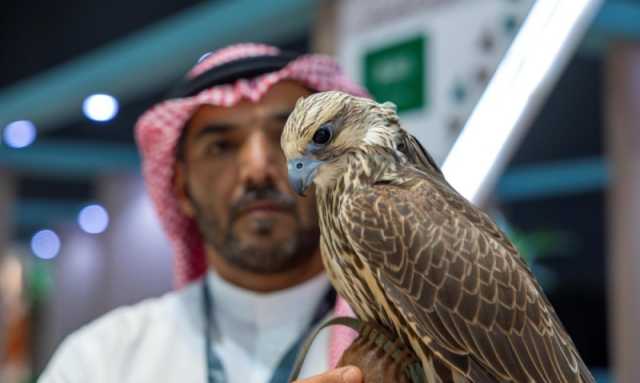 بمشاركة 16 دولة.. انطلاق أولى ليالي مزاد مزارع إنتاج الصقور غداً