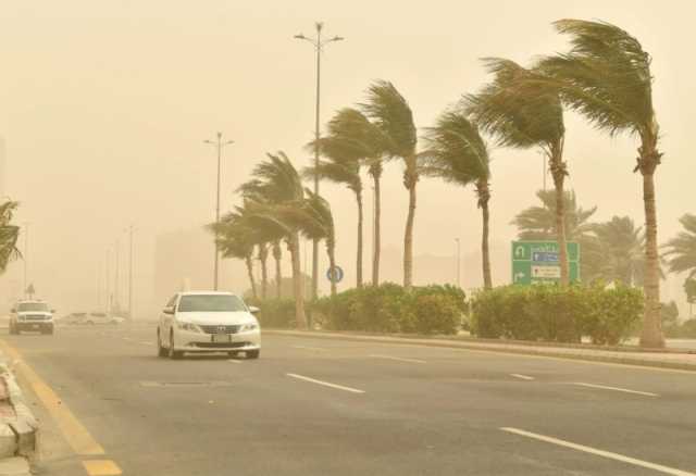 تدني مدى الرؤية.. أتربة مثارة على أجزاء من الشرقية