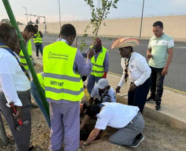 زراعة 3 آلاف شجرة في الطائف ضمن مشروع تشجير الأحياء السكنية