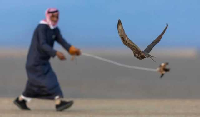 العالم في أرض الحضارات.. مشاركون دوليون يتغنون بكأس العلا للصقور