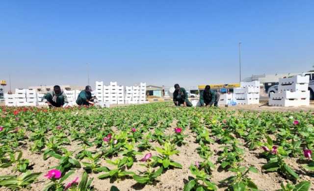 'بيئة الجوف' تبحث سبل التعاون لدعم أنشطة مركز تنمية المراعي بالمنطقة