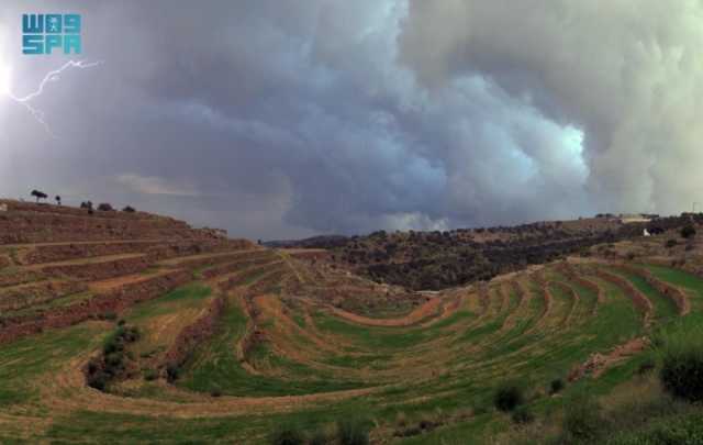 مطالع النجوم تضبط أوقات زراعة المحاصيل الشتوية بعسير