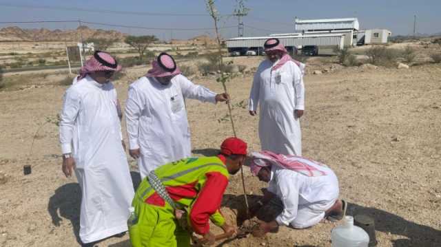 بمشاركة المنسوبين.. تنفيذ مبادرات لتشجير مبنى التعليم ومركز البيضاء 