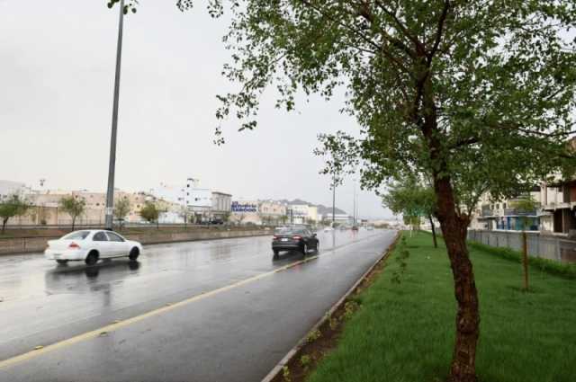 'الأرصاد': أمطار خفيفة ورياح سطحية على منطقة الباحة