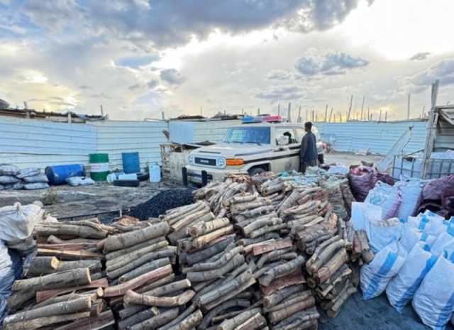 عسير.. ضبط مقيم لتخزينه حطبًا وفحمًا محليين