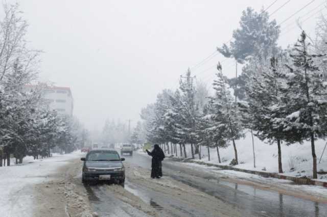 تساقط الثلوج بجبل لبنان يعطل المدارس والمؤسسات