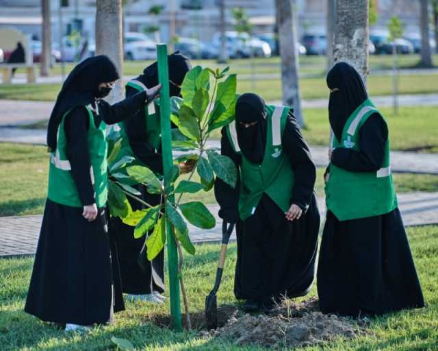 صور.. زراعة 34 ألف شجرة ضمن مبادرة 'شرقيتنا خضراء' بالقطيف