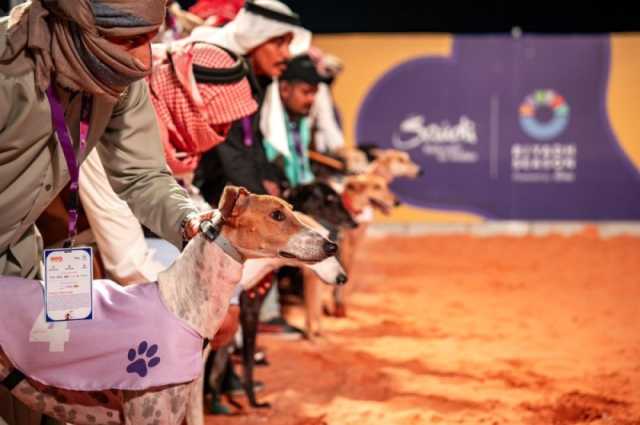 صور.. 'مهرجان الكلاب العالمي' يختتم فعالياته وسط إقبال جماهيري