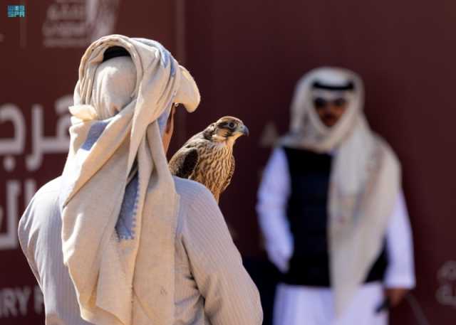 منافسات الكؤوس.. تفاصيل أشواط الهواة المحليين في مهرجان الصقور