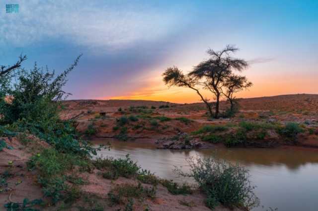 محمية الإمام عبدالعزيز الملكية تشدد على منع التخييم داخل نطاقها