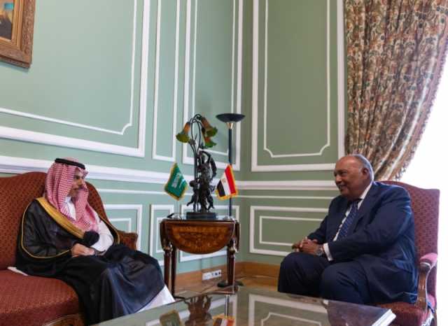 تفاصيل لقاءات وزير الخارجية مع نظرائه في مصر والأردن وسوريا