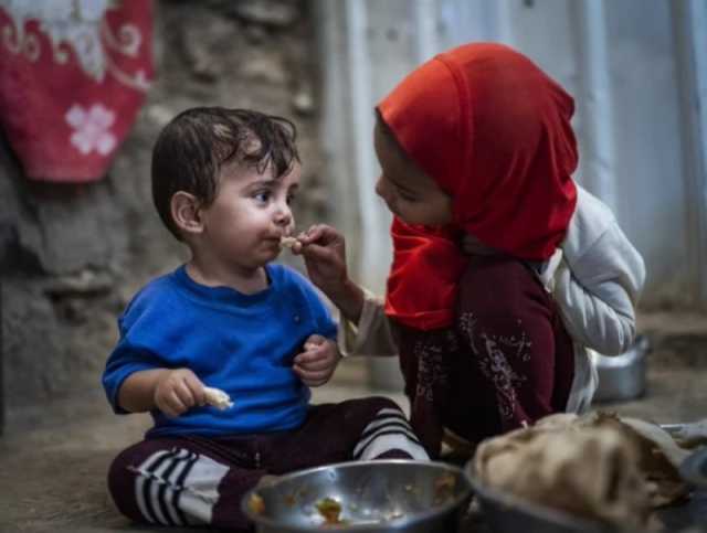 بسبب أزمة التمويل الكبرى.. 'الأغذية العالمي' يقلص مساعداته في اليمن