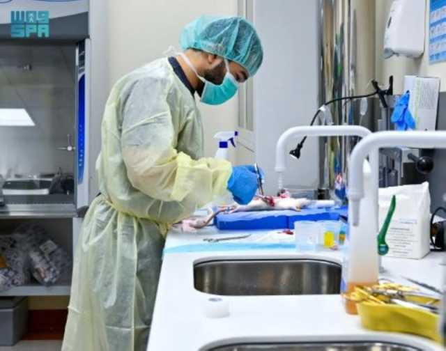 مركز الجراحة التجريبي بجامعة الملك سعود.. بيئة بحثية عالية الجودة