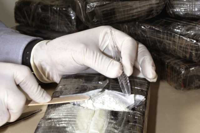 صناديق موز أم كوكايين؟.. ضبط نصف طن مخدرات في ألمانيا