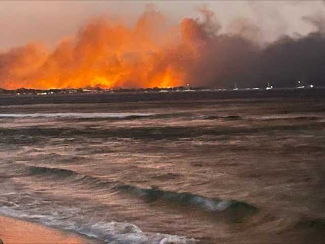 أرقام صادمة لضحايا ومفقودي حرائق غابات ماوي الأمريكية