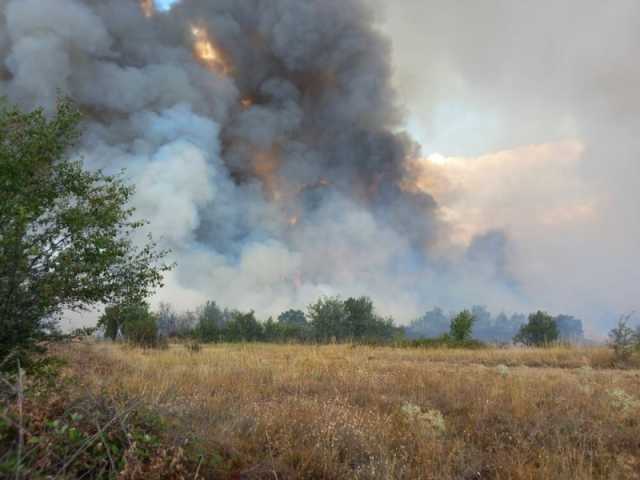 رجال الإطفاء يكافحون حريق غابات الصنوبر في بلغاريا