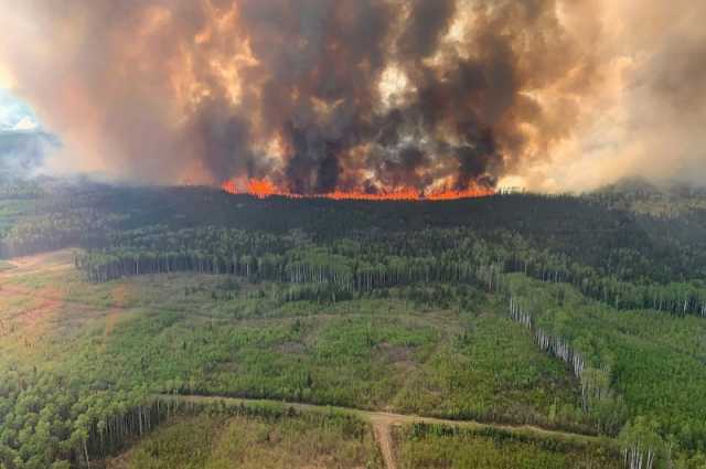 حرائق الغابات سجلت أرقامًا قياسية من الانبعاثات الكربونية