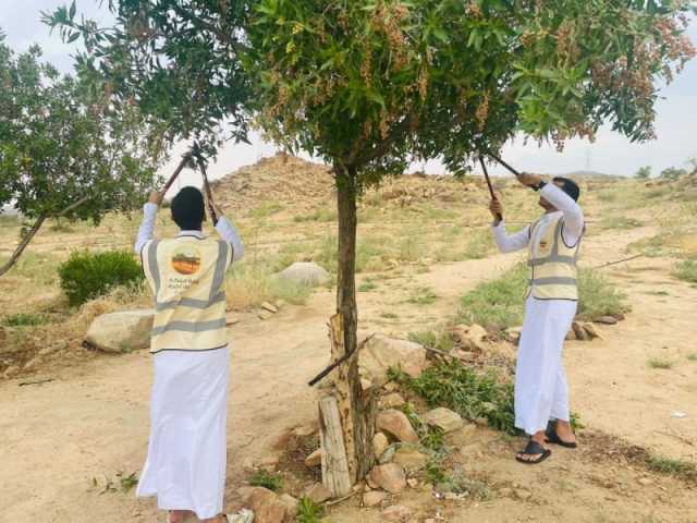 'الزاراعة' تنظم مبادرة تطوعية لتشجير متنزه الطائف الوطني