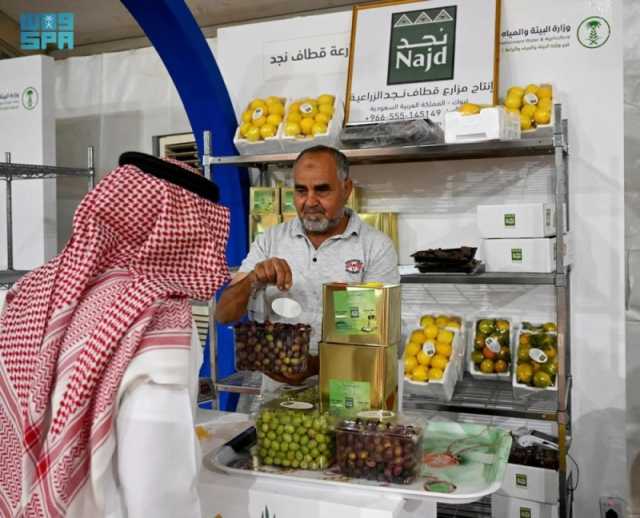 'مهرجان تبوك' يجذب الزوار والمستهلكين بأجود أنواع الزيتون