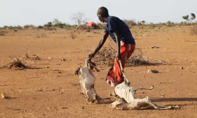 برنامج الأغذية: ربع الصوماليين قد يواجهون جوعًا كارثيًا