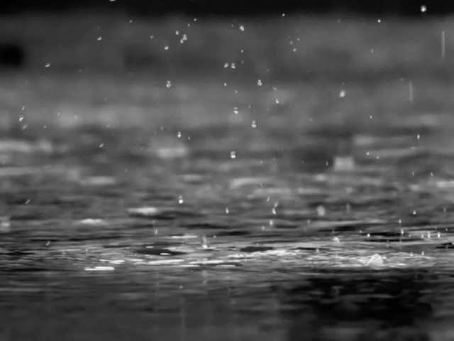 'الدفاع المدني' يصدر تعليمات مهمة بخصوص حالة الأمطار في عدة مناطق
