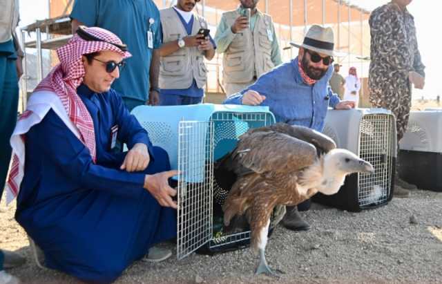 'الحياة الفطرية' يحصل على شهادة الالتزام بالمعايير الدولية