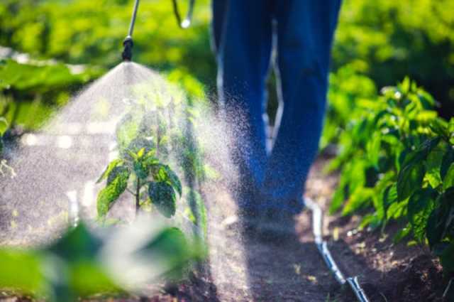 'البيئة' تحدد 9 شروط لترخيص محلات المبيدات والأسمدة والبذور