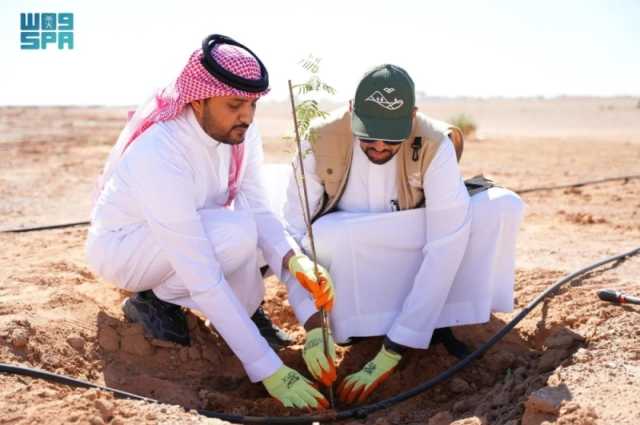 1100 متطوع لزيادة الغطاء النباتي في محمية الإمام عبد العزيز بن محمد