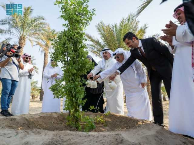 'الغطاء النباتي' يطلق مبادرة التنمية الخضراء في البحرين بزراعة 100 ألف شجرة