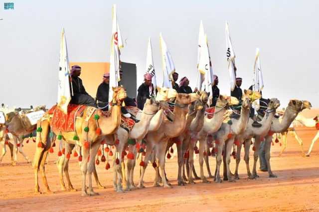 تفاصيل مشاركة الدفاع المدني بـ'واحة الأمن' بمهرجان الملك عبد العزيز للإبل