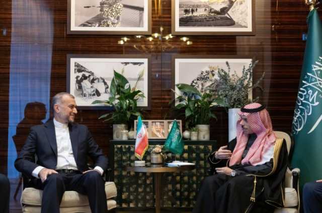 وزير الخارجية يلتقي نظيره الإيراني لمناقشة أوضاع غزة وسبل التعاون