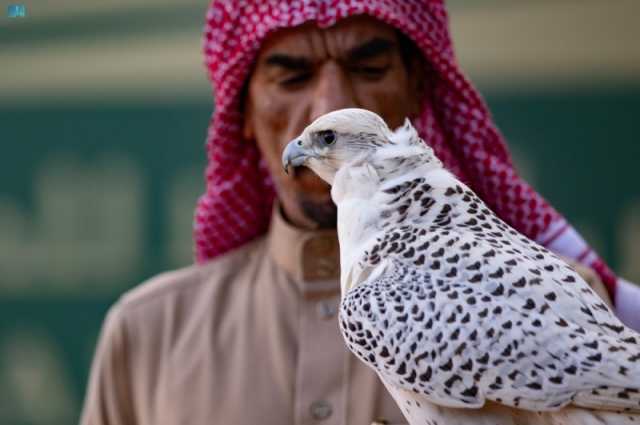 صور| 6 أشواط.. تفاصيل منافسات كأس العلا للصقور في المسار الأول