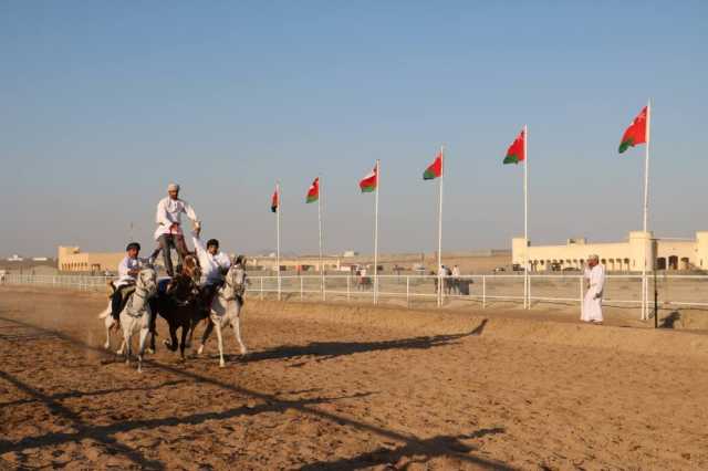 ٨٠ فارسا يستعرضون مهاراتهم في مهرجان عرضة الخيل بمنح