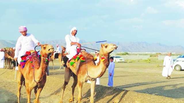 مشاركة واسعة في انطلاق مهرجان ينقل للمزاينة