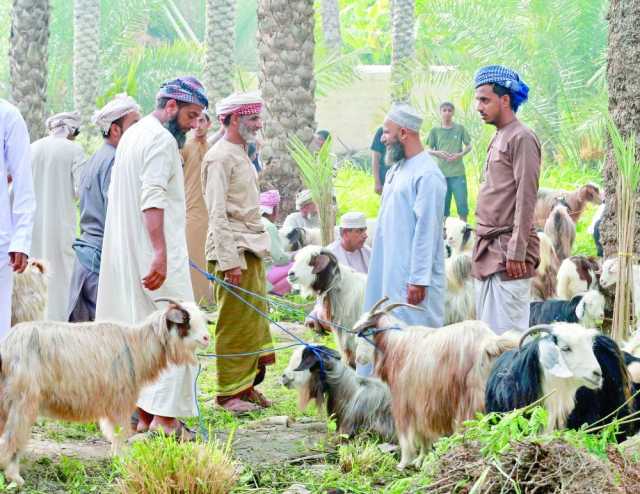 انتعاش الحركة الشرائية في الأسواق الشعبية مع اقتراب عيد الأضحى المبارك