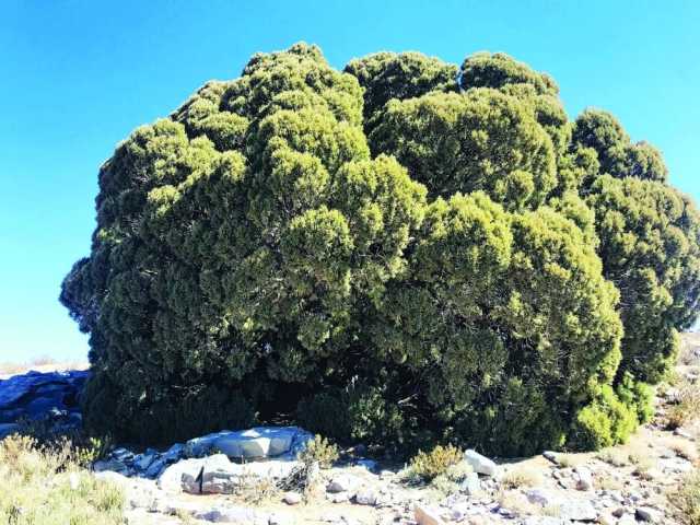 جبل شمس .. وجهة سياحية وطبيعة خلابة تحفّز عدسات هواة التصوير