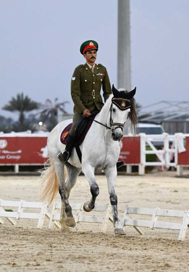 الشعيبية والغابشي يتوجان ببطولة الجائزة الكبرى لأدب الخيل