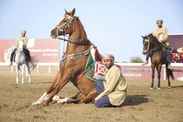 بي أف أركان بطلا للخيول العربية الأصيلة في ختام موسم سباقات الخيل