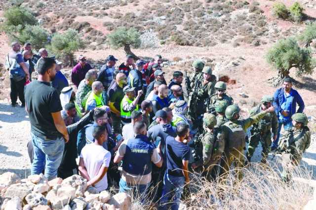 فلسطينيون يعانون لقطاف الزيتون بين الحرب وهجمات المستوطنين