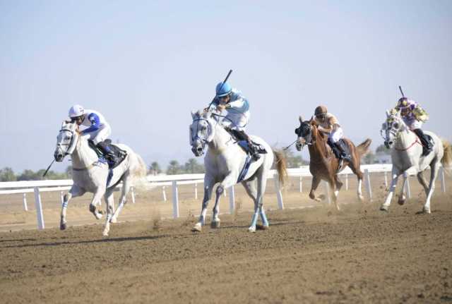 تنافس مثير في سباق الخيل الرابع بمضمار الرحبة