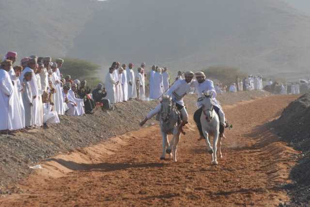 200 مشارك في ركض عرضة الخيل والهجن بالمضيبي