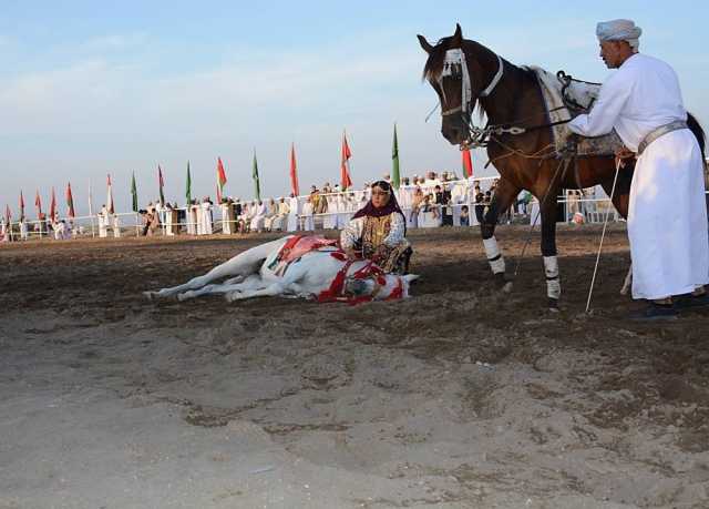 100 فارس يستعرضون مهاراتهم في مهرجان الفروسية ببهلا