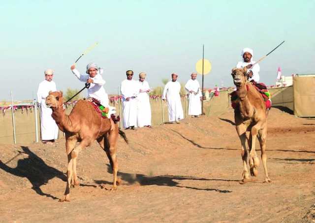 ختام المرحلة الثانية من تصفيات مهرجان العرضة ببدية