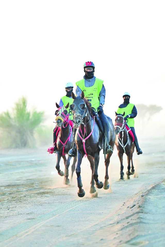 منافسة مثيرة يشهدها سباق الناشئين والشباب للقدرة والتحمل