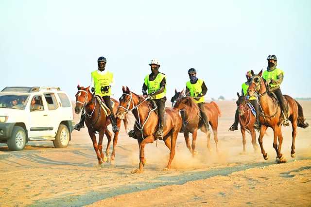 مادجيك مان يخطف سباق القدرة والتحمل ببركاء