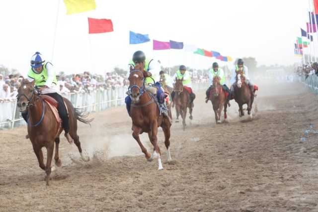 عرضة الخيل التقليدية وسباق التحدي بجعلان